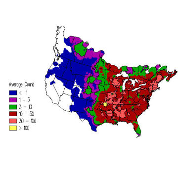 Blue Jay winter distribution map