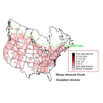 Sharp-shinned Hawk distribution map