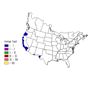 Hermit Warbler winter distribution map