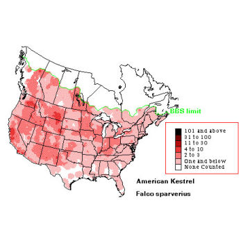 American Kestrel distribution map