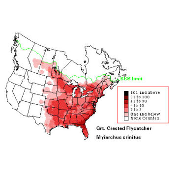 Great Crested Flycatcher distribution map