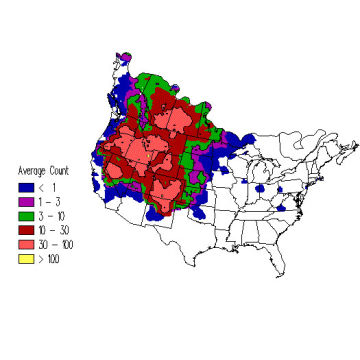 Black-billed Magpie winter distribution map