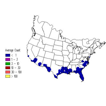 Northern Parula winter distribution map