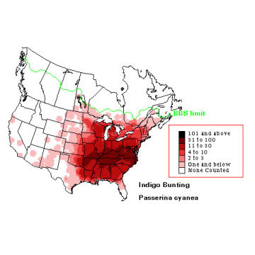 Indigo Bunting distribution map