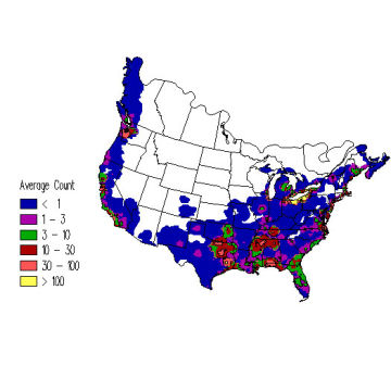 Bonaparte's Gull winter distribution map