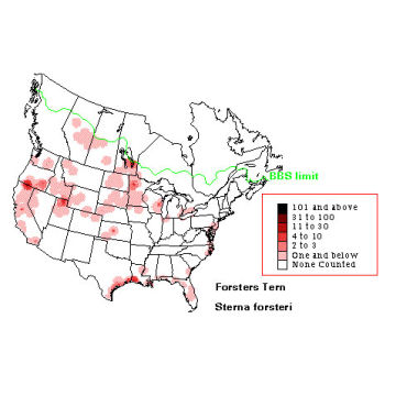 Forster's Tern distribution map