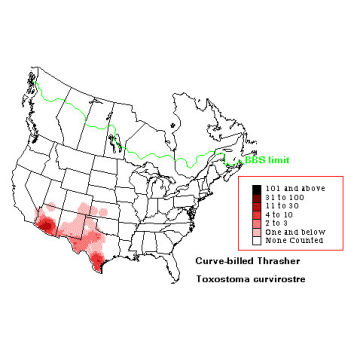 Curve-billed Thrasher distribution map