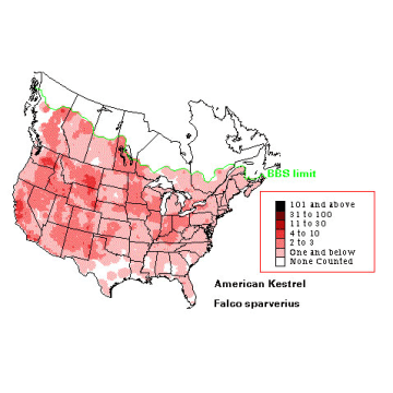 American Kestrel distribution map