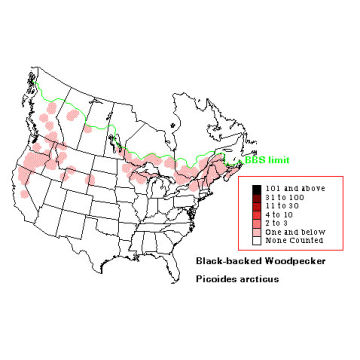 Black-backed Woodpecker distribution map