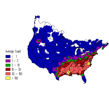 White-throated Sparrow winter distribution map