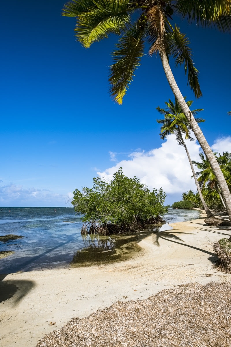 Dominican Republic