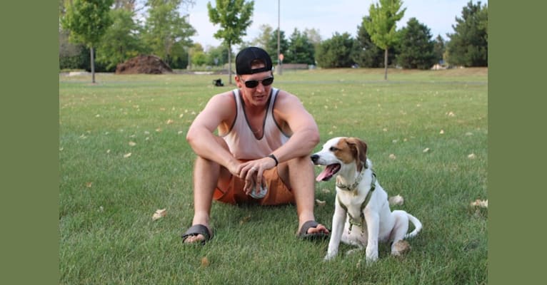 Wilson Wayhart, a Boxer and German Shepherd Dog mix tested with EmbarkVet.com
