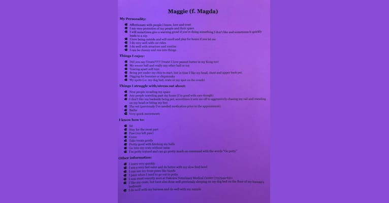 Maggie (f. Magda), a Cane Corso and Rottweiler mix tested with EmbarkVet.com