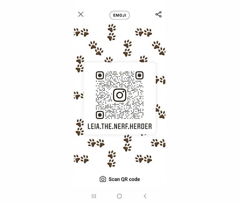 Leia, a German Shepherd Dog and Australian Cattle Dog mix tested with EmbarkVet.com