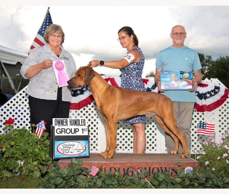 Nuke - HP58054002, a Rhodesian Ridgeback tested with EmbarkVet.com