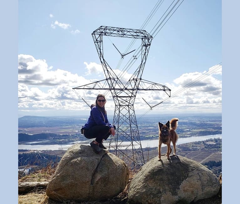 Lucy, a Formosan Mountain Dog tested with EmbarkVet.com