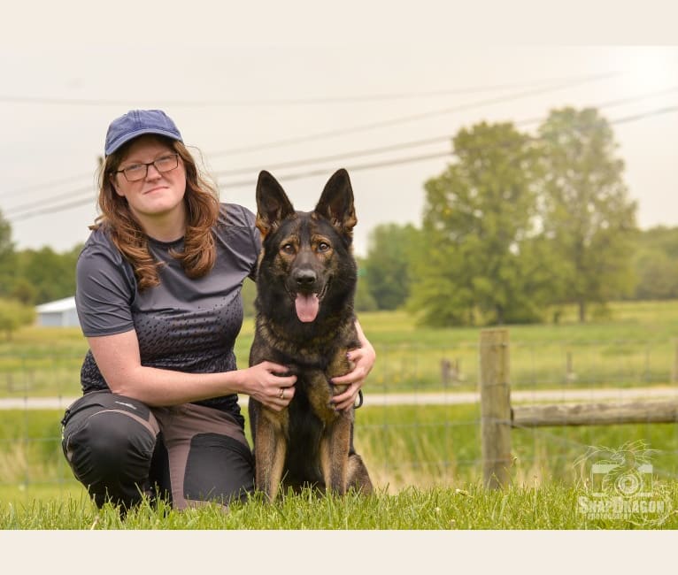 Akira, a German Shepherd Dog tested with EmbarkVet.com