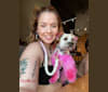 Carly, a Chihuahua and Shih Tzu mix tested with EmbarkVet.com