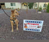Brownie, a Staffordshire Terrier and Labrador Retriever mix tested with EmbarkVet.com