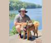 Charlie, a German Shepherd Dog and Phu Quoc Ridgeback mix tested with EmbarkVet.com