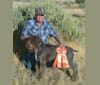 Grouse, a German Wirehaired Pointer tested with EmbarkVet.com