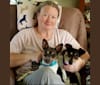Takodah the Tornado, a Rat Terrier tested with EmbarkVet.com
