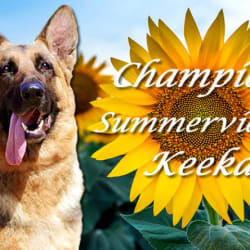 Summerview’s Keeka