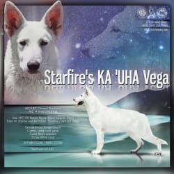 VF Starfire's Ka 'Uha Vega