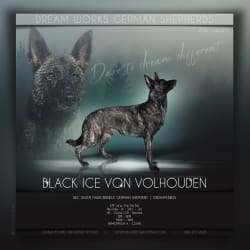 Black Ice Von Volhouden