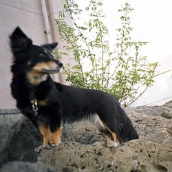 FrendL (The Fabulous & Occasionally Ferocious)