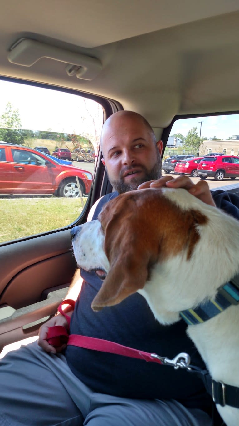 Little Joe, aka "Scar Face,"  Our #1 Hound Dog, a Treeing Walker Coonhound tested with EmbarkVet.com