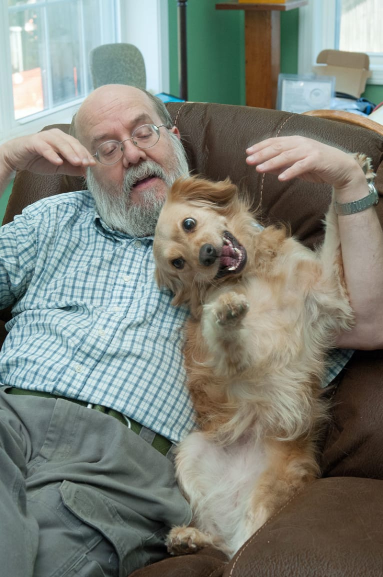 Muppy, a Cocker Spaniel and Rat Terrier mix tested with EmbarkVet.com