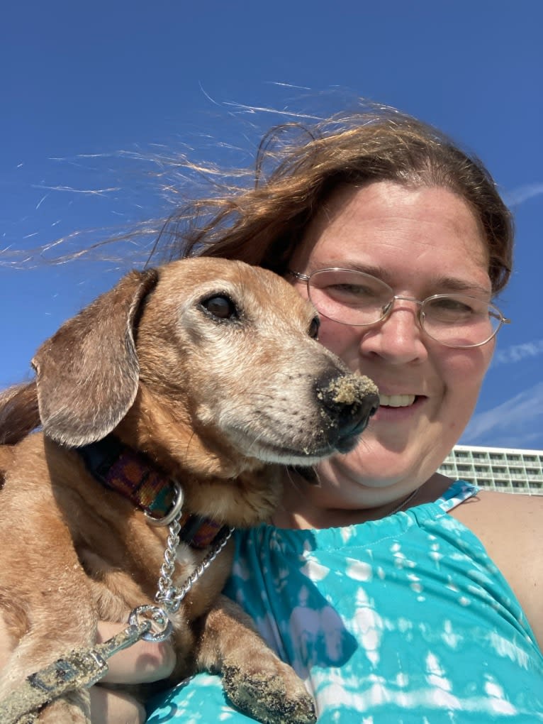 URO3 NI NE Jacob Levi RI SWA SHDNE CGCA TKP RATN RL1X RL2 RLV2X CW-ARA CW-DDA CW-Ob2A, a Dachshund tested with EmbarkVet.com