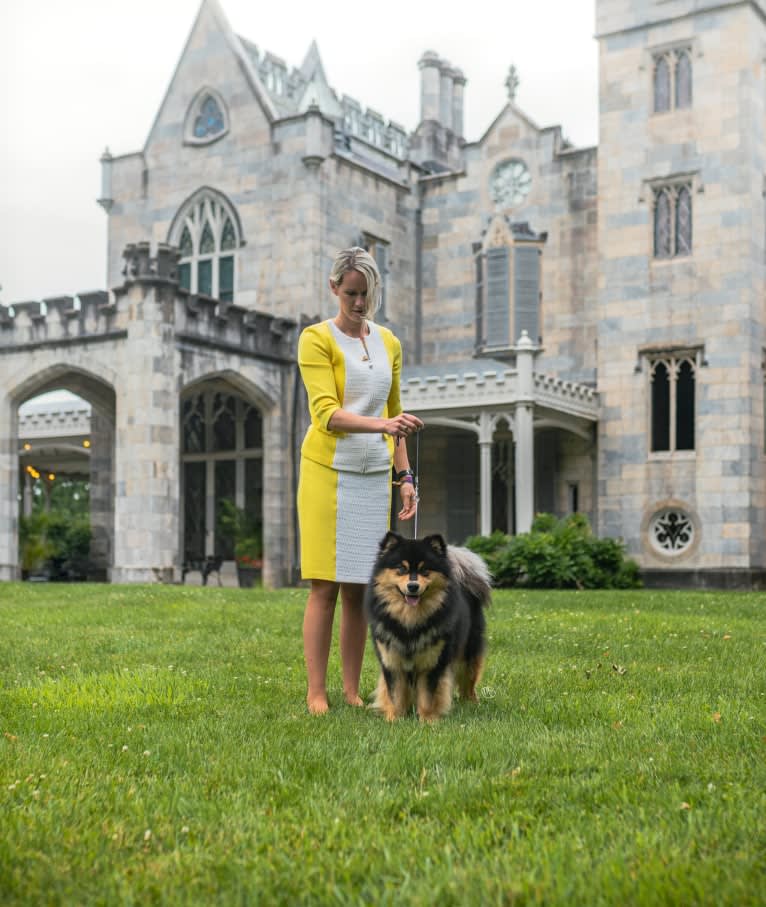 Bandit, a Finnish Lapphund tested with EmbarkVet.com