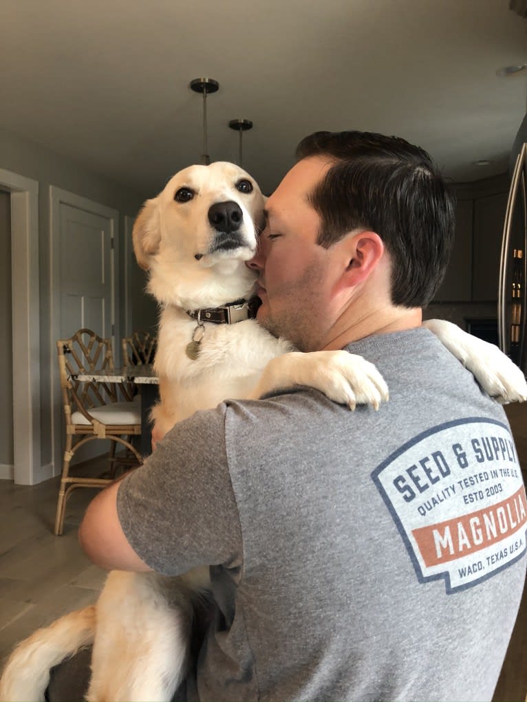 Finley, a Great Pyrenees and Border Collie mix tested with EmbarkVet.com