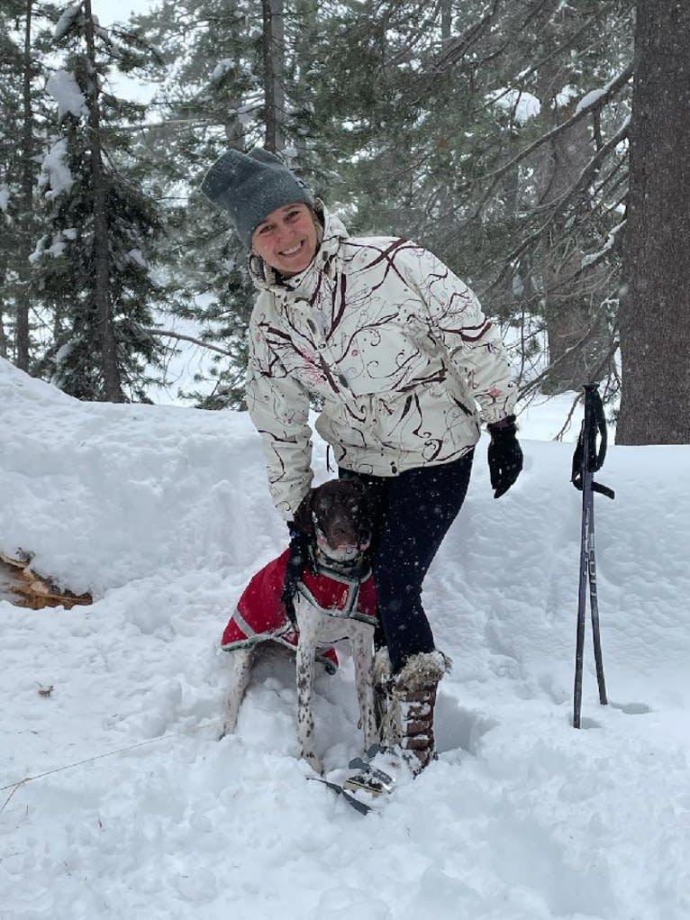 Beau, a German Shorthaired Pointer tested with EmbarkVet.com