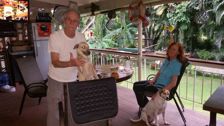 Gatun, an American Village Dog tested with EmbarkVet.com