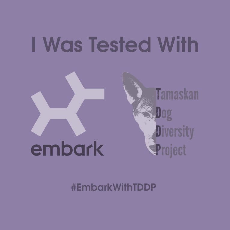 embark
