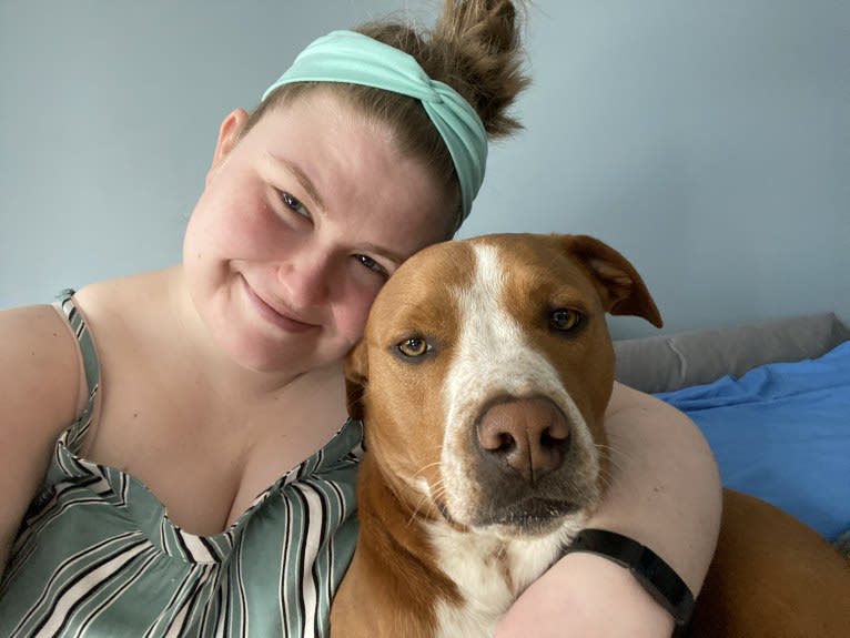 Oscar, an American Pit Bull Terrier and Dachshund mix tested with EmbarkVet.com