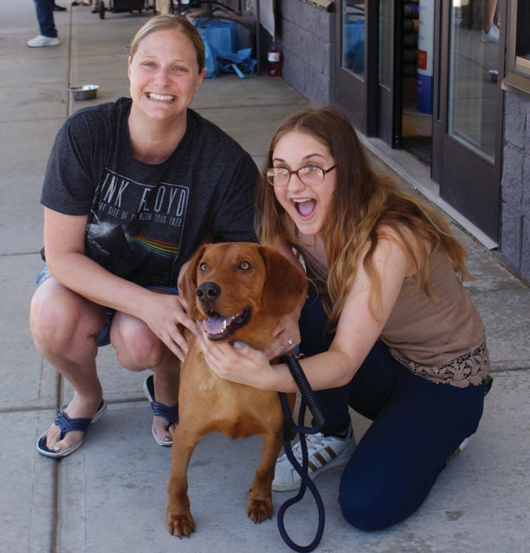 Opie, a Beagle and Redbone Coonhound mix tested with EmbarkVet.com