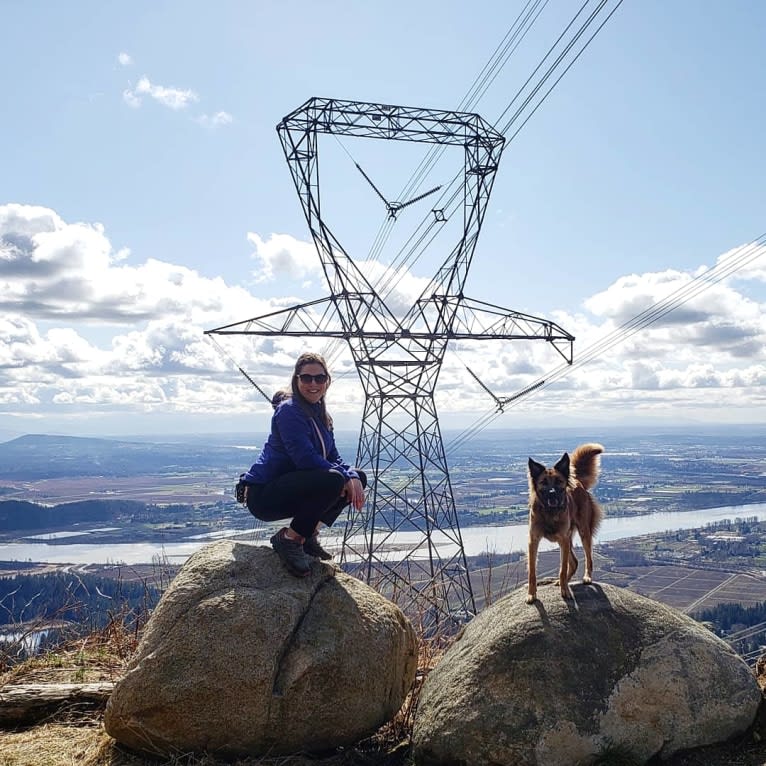 Lucy, a Formosan Mountain Dog tested with EmbarkVet.com