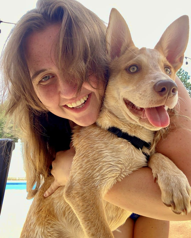 Lou, an Australian Cattle Dog and Australian Shepherd mix tested with EmbarkVet.com