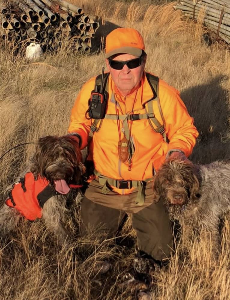 Max, a Wirehaired Pointing Griffon tested with EmbarkVet.com