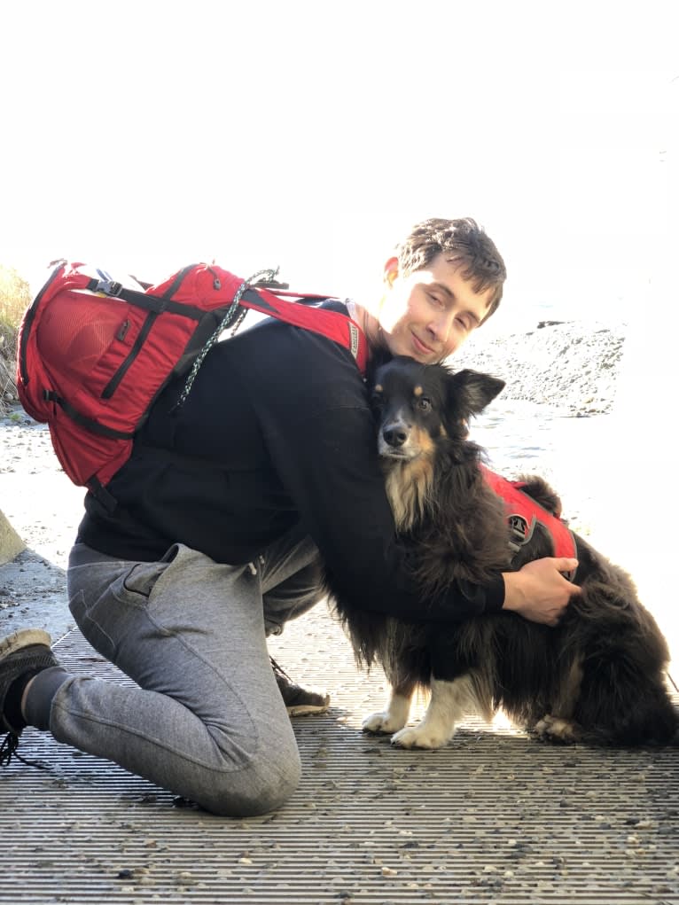 Rocco, an Australian Shepherd tested with EmbarkVet.com