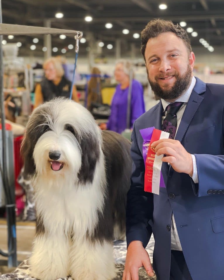 Betty, a Bearded Collie tested with EmbarkVet.com