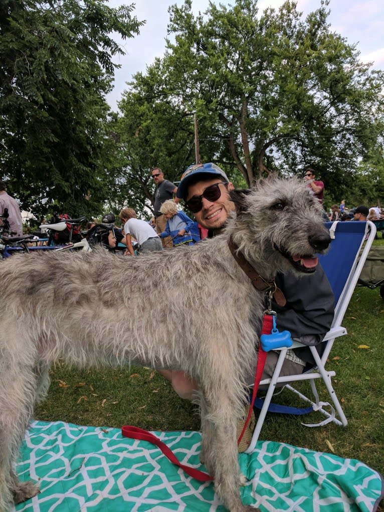 Shadow, an Irish Wolfhound tested with EmbarkVet.com