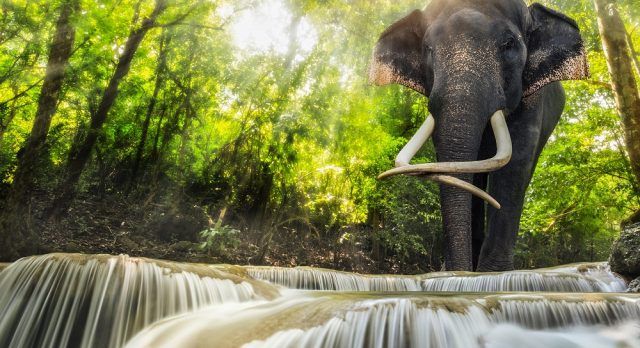 Top 10 Exotic Waterfalls You Need To See