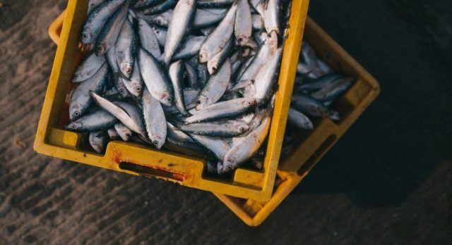 Delicious fish dishes of Mauritius - fresh fish from the ocean