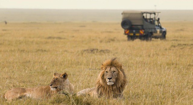 kenia safari