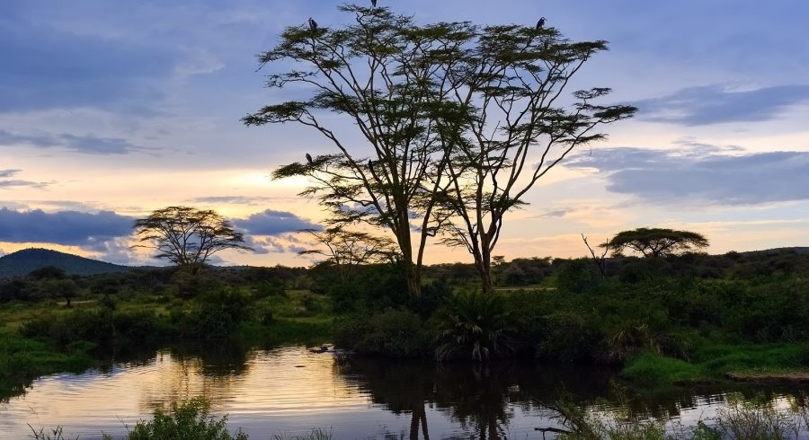 Enchanting Travels Tanzania Tours Serengeti in the evening